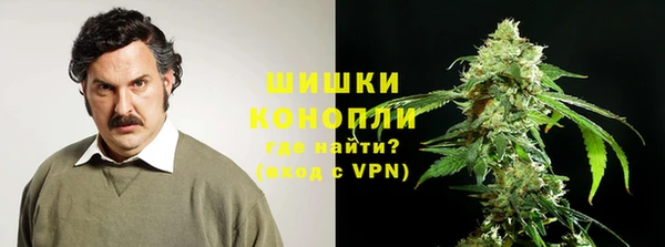 крисы Пересвет