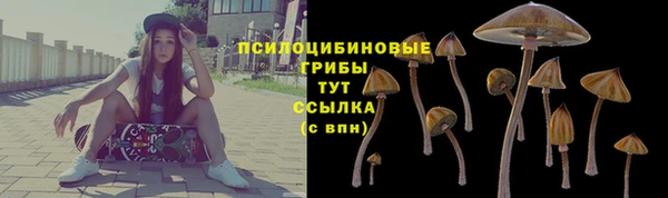 соль курить ск Гатчина