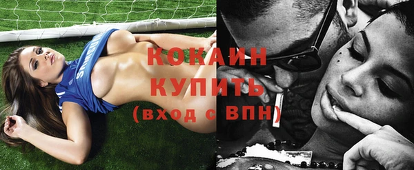крисы Пересвет